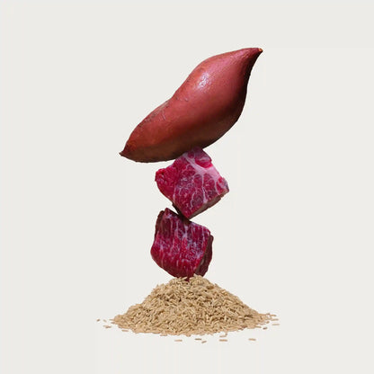 Large Breed Grass-Fed Beef Dog Food