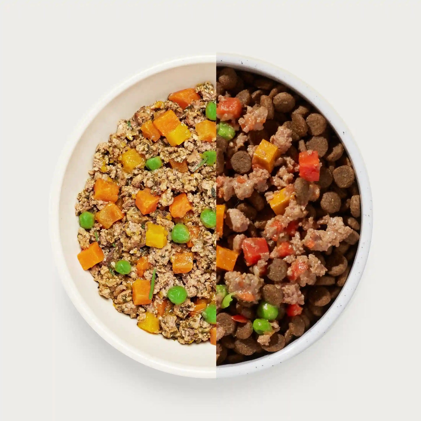 Homemades Wet Dog Food Sampler Pack