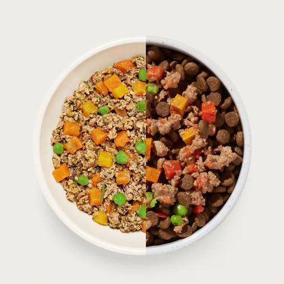 Homemades Wet Dog Food Sampler Pack