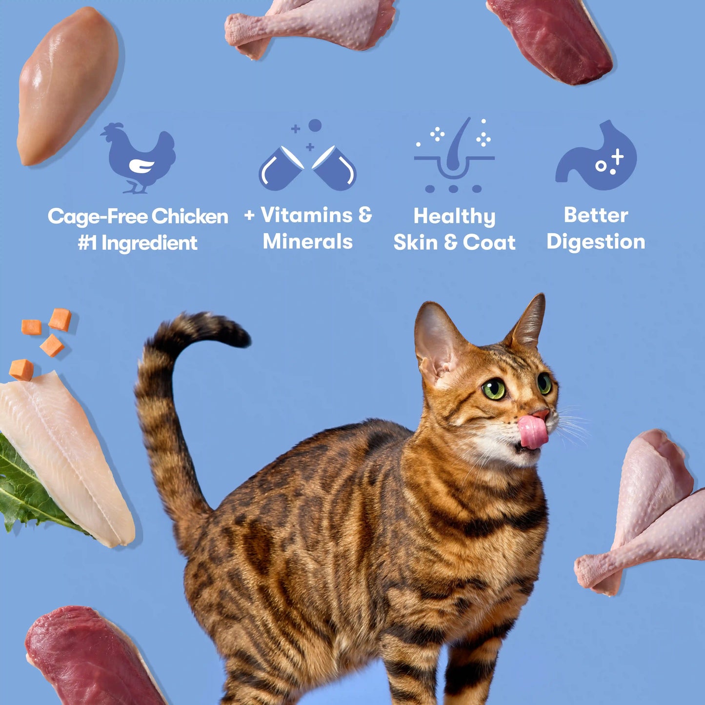 Cage-Free Chicken, Turkey, & Duck Dry Cat Food