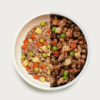Homemades Wet Dog Food Sampler Pack