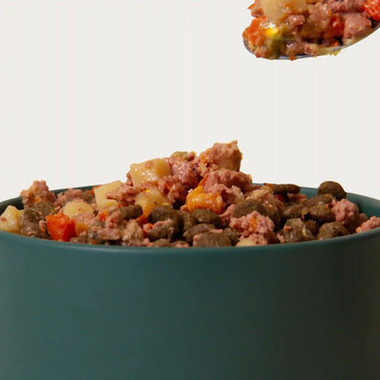 Grain-Free Beef & Chicken Homemades