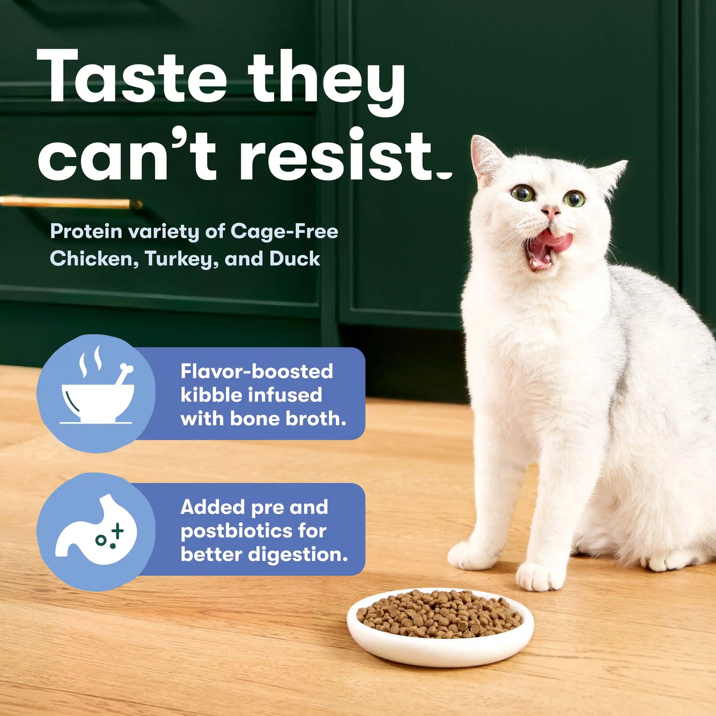 Cage-Free Chicken, Turkey, & Duck Dry Cat Food