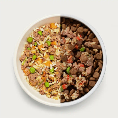 Homemades Wet Dog Food Sampler Pack